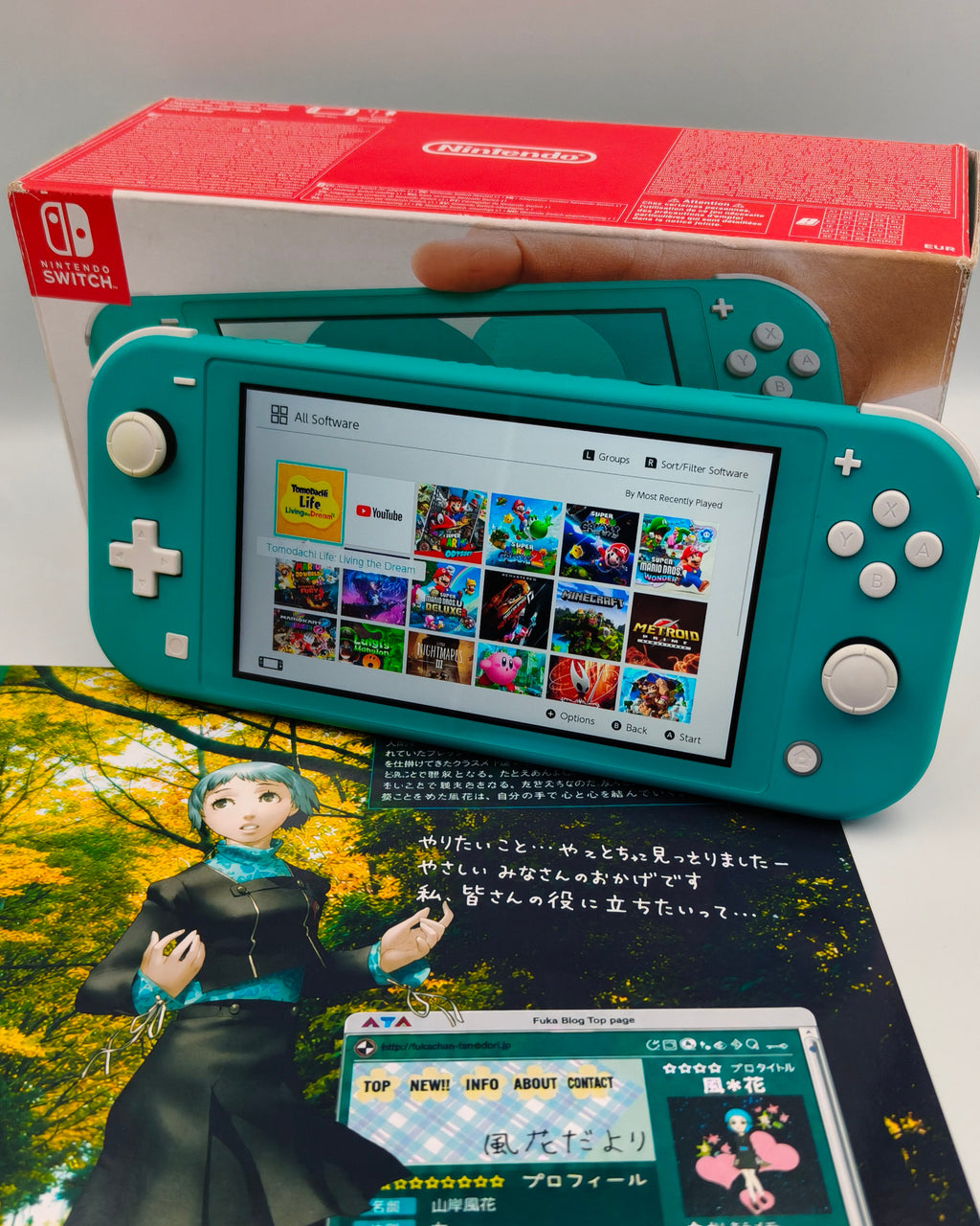 Nintendo Switch Lite